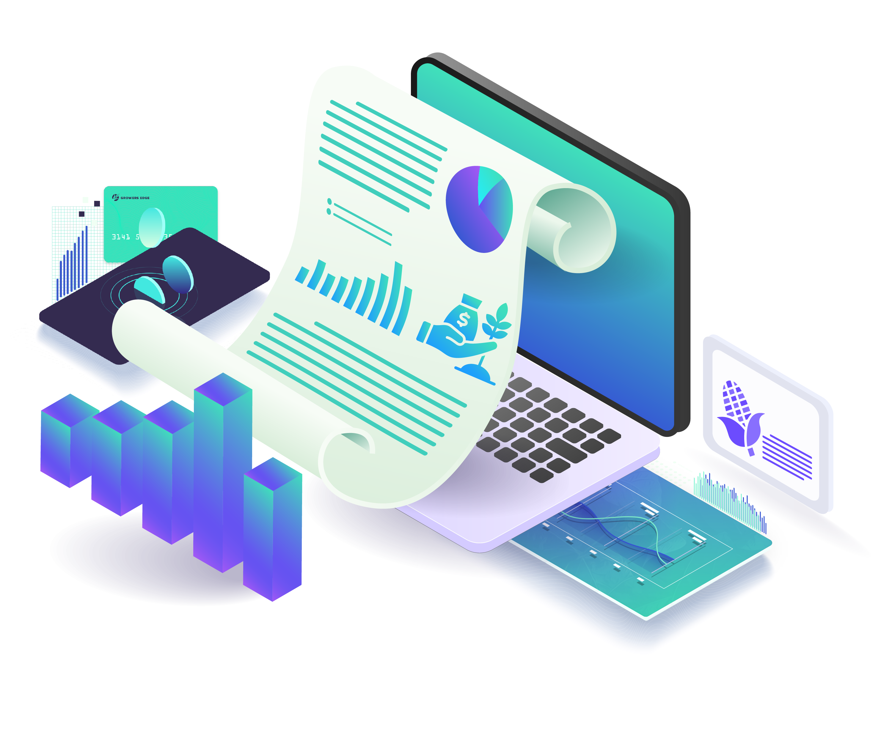 Input Financing